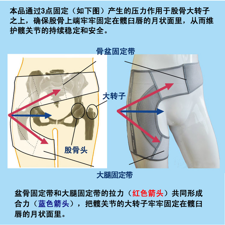 百傲鲨护髋